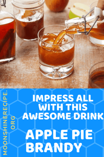 Apple Pie Brandy Cocktail Drink Recipe