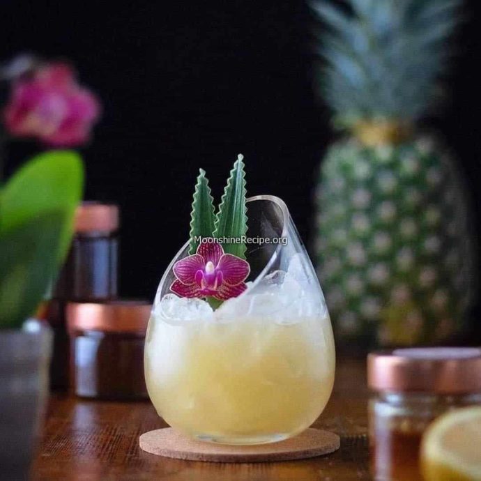 World's Best Cocktails Recipes With Illustrated Images