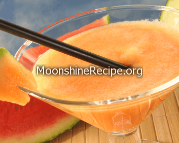 Summer Melon Smoothie