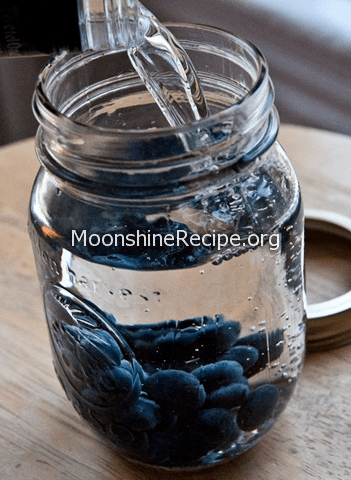 blueberry moonshine