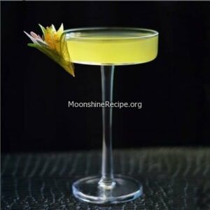 Pineapple Citrus Punch Cocktail pineapple citrus punch