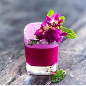 Lady Magenta Cocktail