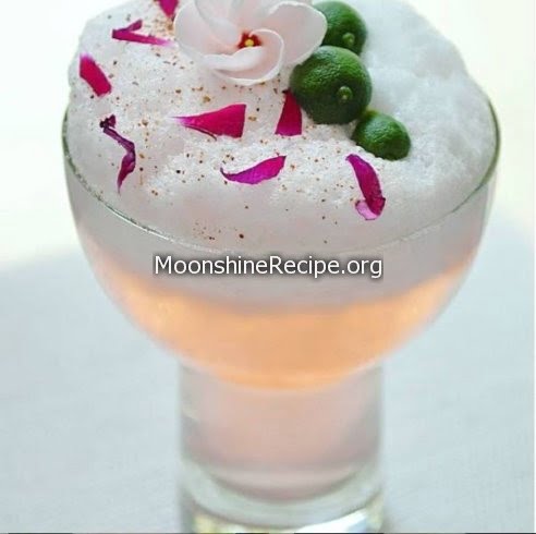 Hibiscus Rose Cocktail