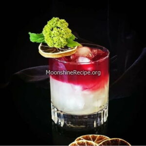 beet root lime cocktail