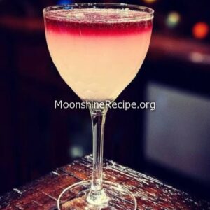 Gin and Cabernet Sour gin and Cabernet sour