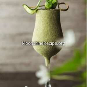 Blackcurrant Cocktail Blackcurrant Cocktail