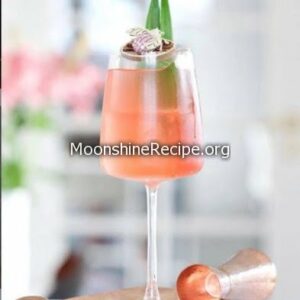 Jungle Gent Campari Cocktail Jungle Gent Campari Cocktail