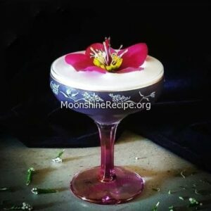 Winter Solstice Cocktail