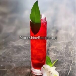 tall red and bitter cocktail