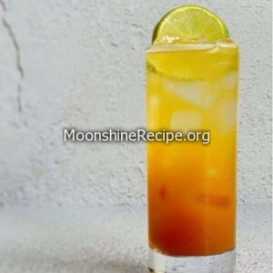 Black Seal Rum Cocktail Black Seal Rum Cocktail