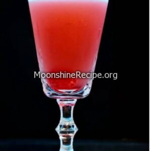 Rum Maraschino Cocktail Rum Maraschino Cocktail