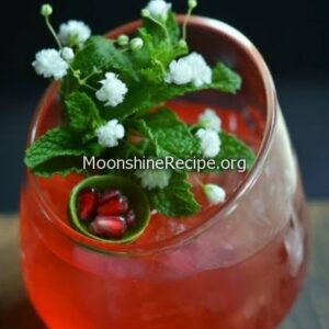 Pomegranate Mule Pomegranate Mule