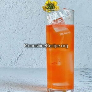 Summer Vibe Cocktail Summer Vibe Cocktail