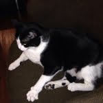 Best Deals Online | Best Gifts For The Man In Your Life