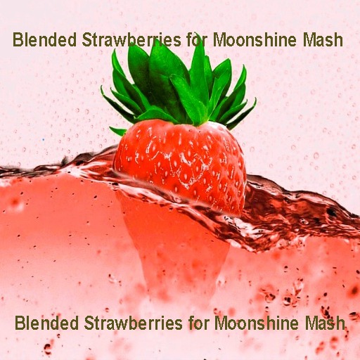 Blended Strawberries for Moonshine Mash